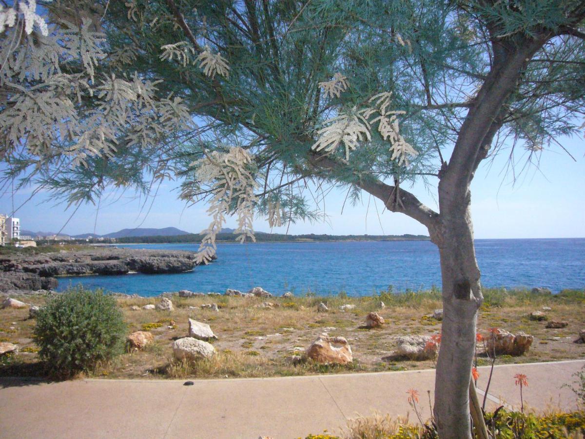 Holiday Home Randemar ซีลอต ภายนอก รูปภาพ